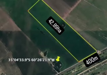 SE VENDE 43HA - CAMPO FLOR EN MECHITA - BRAGADO